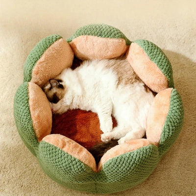 coussin pour chat rond vert avec chat