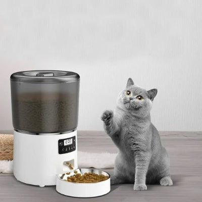 distributeur automatique croquettes chat avec petit chat gris
