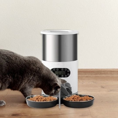 distributeur automatique croquettes chat deux plat noir et chat gris