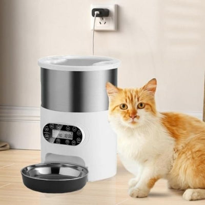distributeur automatique croquettes chat un plat noir