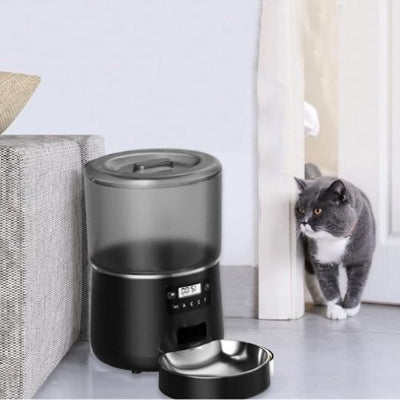 distributeur automatique croquettes chat