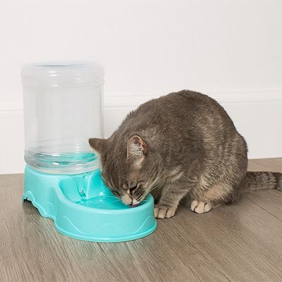 Distributeur de croquettes pour Chat bleu et chat gris