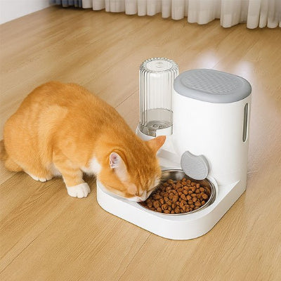 Distributeur de croquettes pour chat​ plein