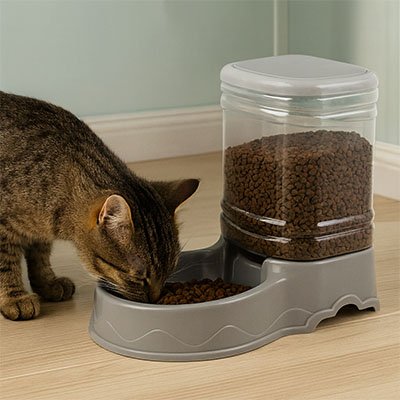 Distributeur de croquettes pour Chat qui mange