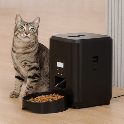 Distributeur de croquettes pour chat​ rayer