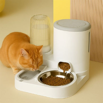 Distributeur de croquettes pour chat​ roux