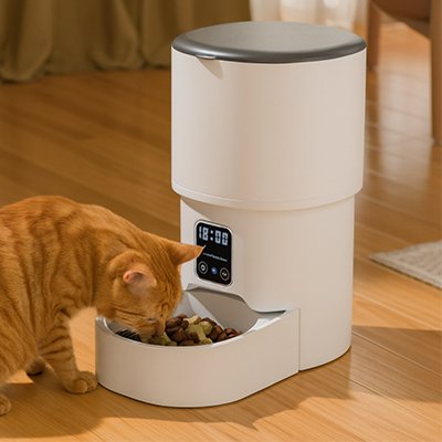 Distributeur de croquettes pour chat roux