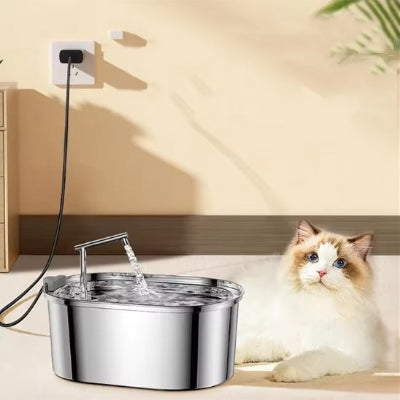 Fontaine a eau chat aux yeux bleu