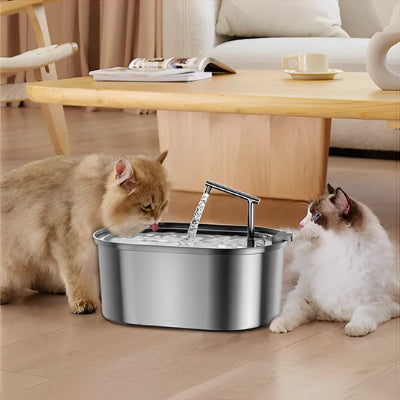 Fontaine a eau chat avec chat qui boit 