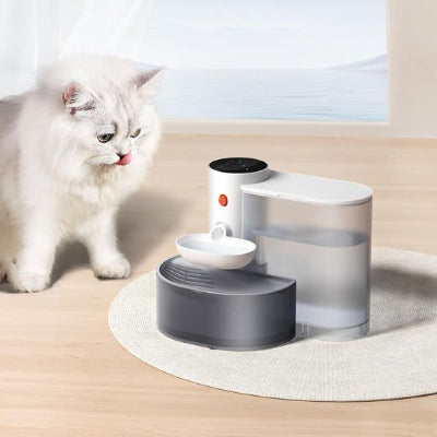 Fontaine a eau chat avec un chat blanc