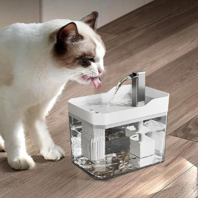 Fontaine a eau chat avec un chat brun et beige