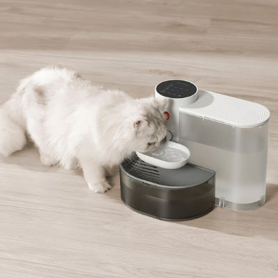 Fontaine a eau chat avec un chat qui boit