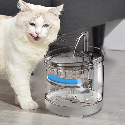 Fontaine a eau chat beige et fontaine ronde
