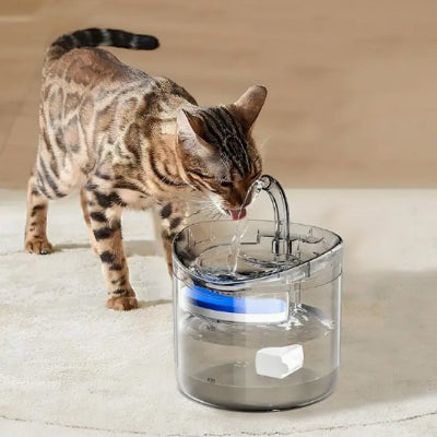 Fontaine a eau chat bingal 
