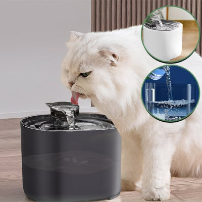 Fontaine à eau chat blanc qui a soiffe