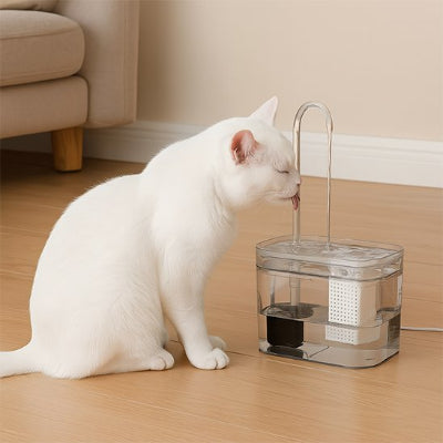 Fontaine a eau chat​ blanc qui boit l'eau