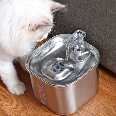 Fontaine a eau chat blanc regardant l'eau couler