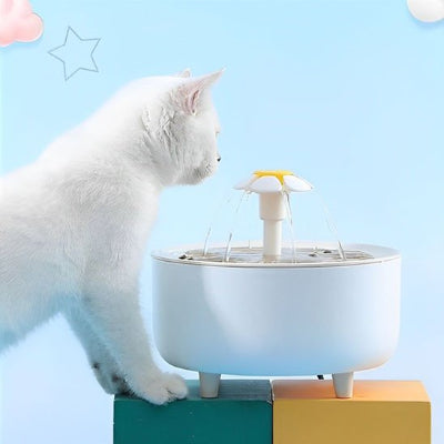 Fontaine a eau chat blanche avec chat blanc