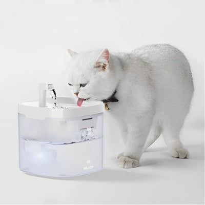 Fontaine a eau chat blanche sur fond blanc