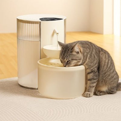 Fontaine a eau chat blanche