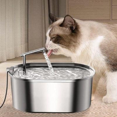 Fontaine a eau chat brun et beige qui boit