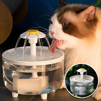 Fontaine a eau chat brun et blanc