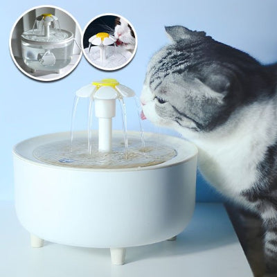 Fontaine a eau chat gris