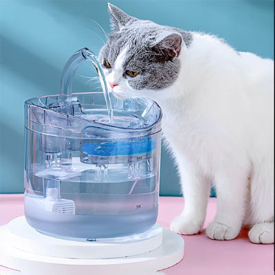 Fontaine a eau chat gris et blanc fontane tranperente