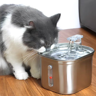 Fontaine a eau chat gris et blanc