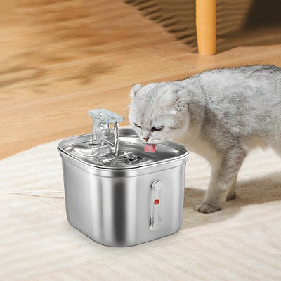 Fontaine a eau chat gris pâle qui boit