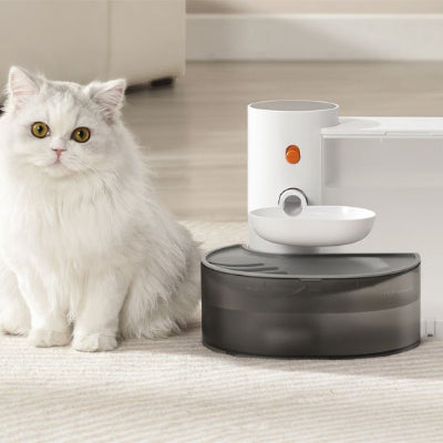 Fontaine a eau chat grise et blanche avec chat percant