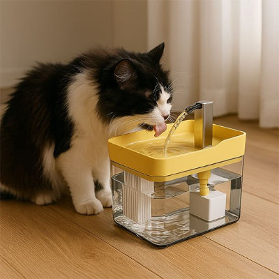 Fontaine a eau chat noir et blanc