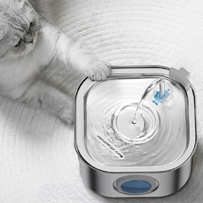 fontaine a eau chat qui coule