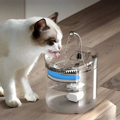 Fontaine a eau chat siamois buvant