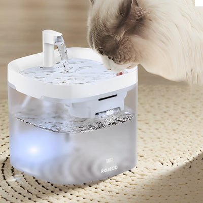Fontaine a eau chat siamois qui boit
