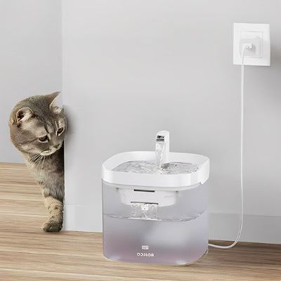 Fontaine a eau chat sur chargeur