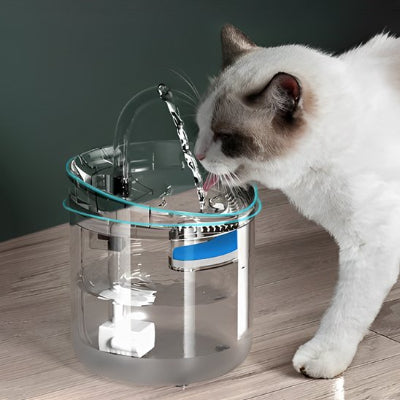 Fontaine a eau chat transparente contour bleu