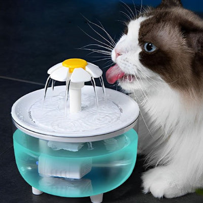 Fontaine a eau chat transparente et feure jaune