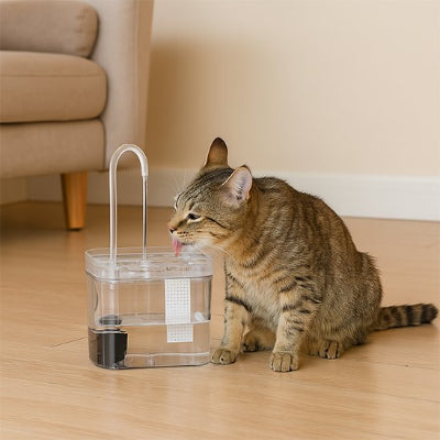 Fontaine a eau chat​ transparente