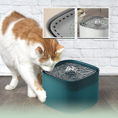 fontaine a eau chat verte avec chat roux et blanc