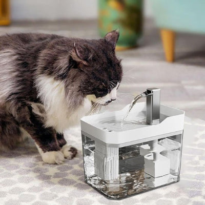 Fontaine a eau chat vieux chat