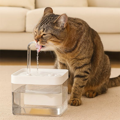 Fontaine a eau chat​ zebrer qui-boit