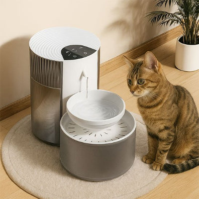 Fontaine a eau chat zebrer roux