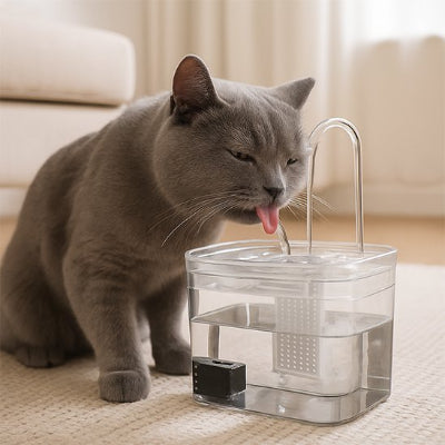 Fontaine a eau transparente chat​ gris