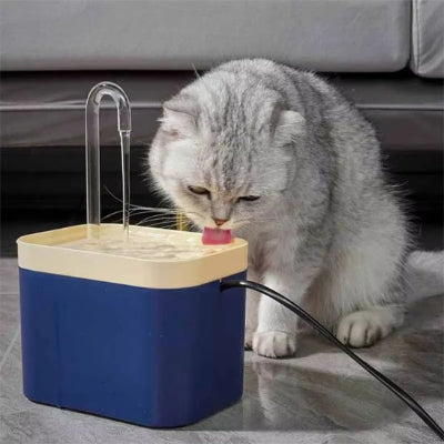 Fontaine eau chat bleu