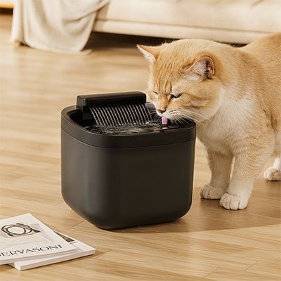 Fontaine eau chat qui boit
