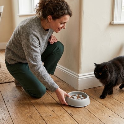 Gamelle anti glouton Chat avec une femme et chat noir