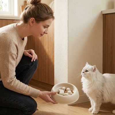 Gamelle anti glouton Chat blanc et jeune femme