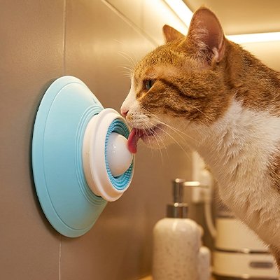 Gamelle anti glouton Chat bleu blanc