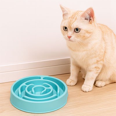 Gamelle anti glouton chat bleumacaron